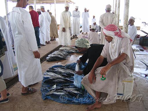 marche poisson 3.JPG
